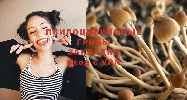 мет Алексин