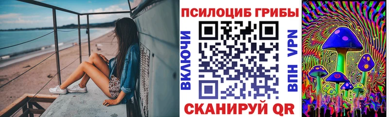 Галлюциногенные грибы мухоморы  площадка клад  Олонец 